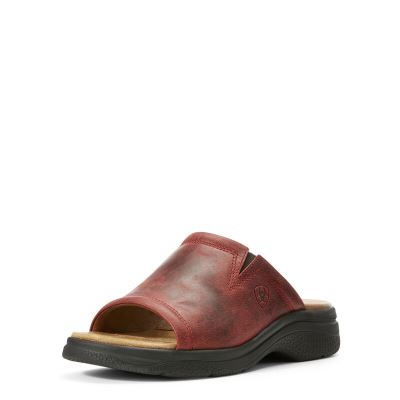 Ariat Bridgeport - Sandalen Rood Dames - 14898-037